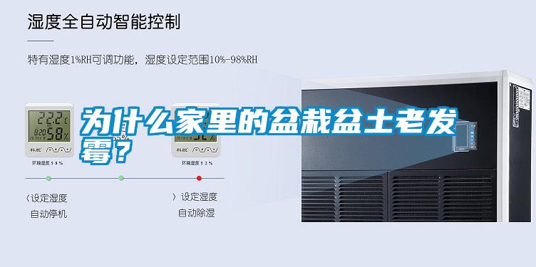 為什么家里的盆栽盆土老發(fā)霉？