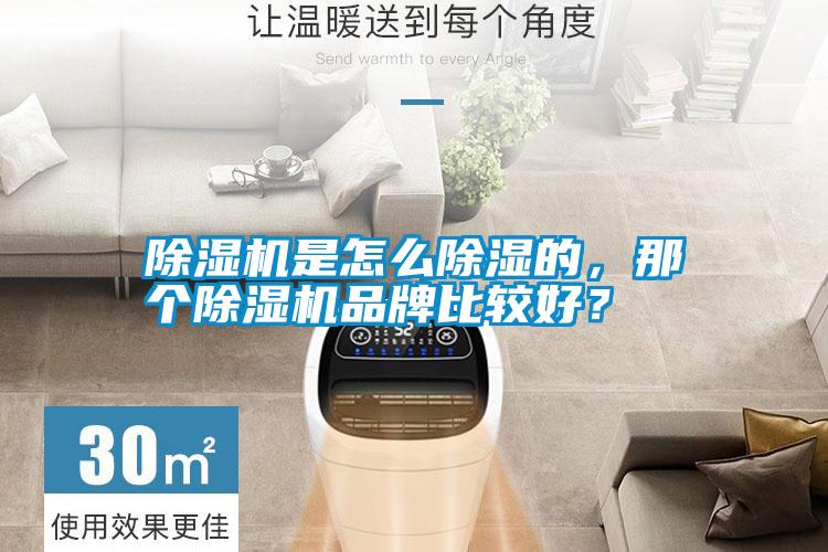 除濕機是怎么除濕的，那個除濕機品牌比較好？