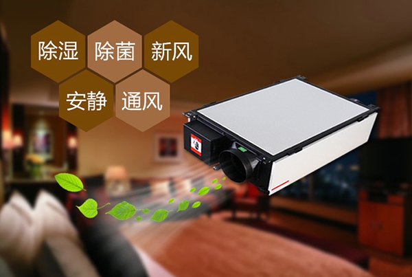 解決地下室的潮濕問題，除濕機可以解決且效果非常好