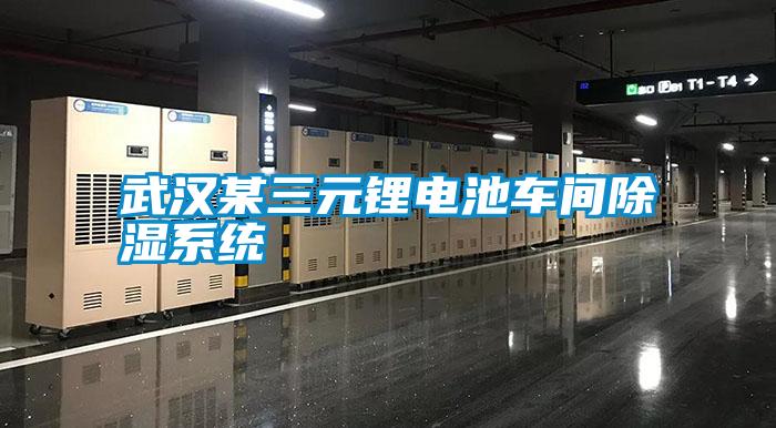 武漢某三元鋰電池車間除濕系統