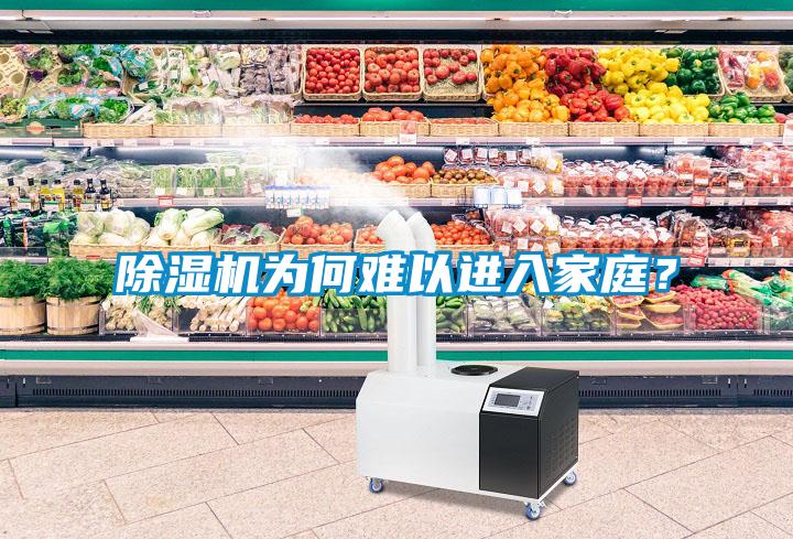 除濕機(jī)為何難以進(jìn)入家庭？