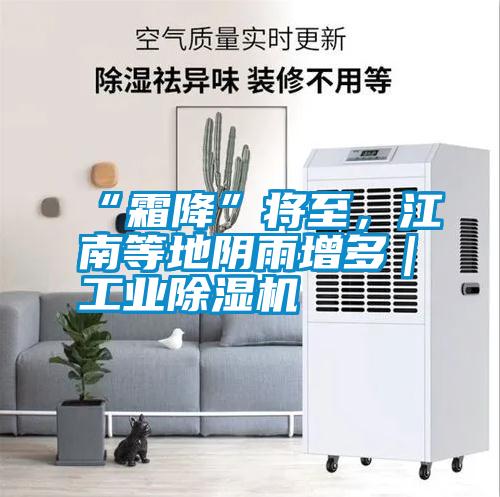“霜降”將至，江南等地陰雨增多｜工業除濕機