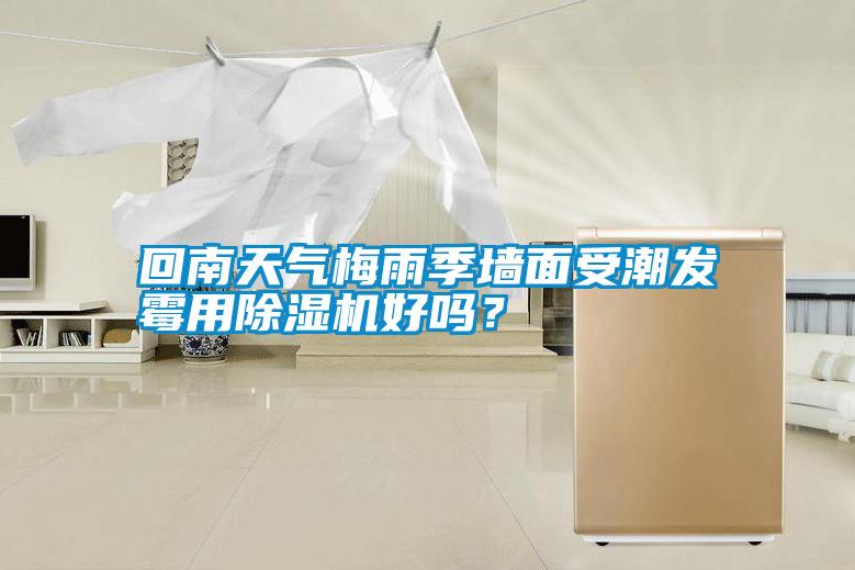 回南天氣梅雨季墻面受潮發霉用除濕機好嗎？