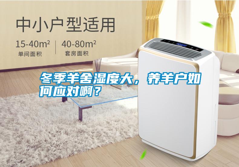 冬季羊舍濕度大，養羊戶如何應對啊？