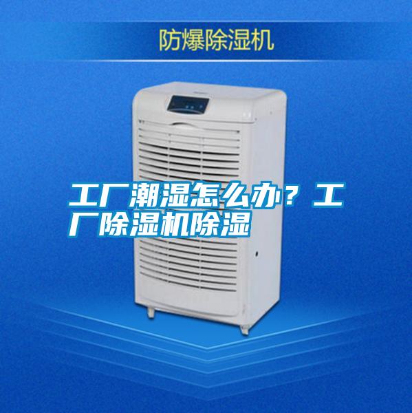 工廠潮濕怎么辦？工廠除濕機除濕