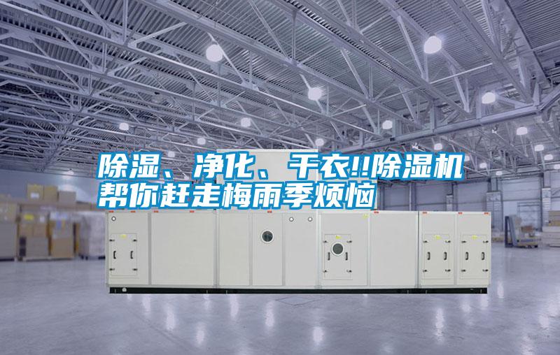 除濕、凈化、干衣!!除濕機幫你趕走梅雨季煩惱