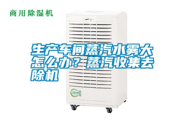 生產車間蒸汽水霧大怎么辦？蒸汽收集去除機