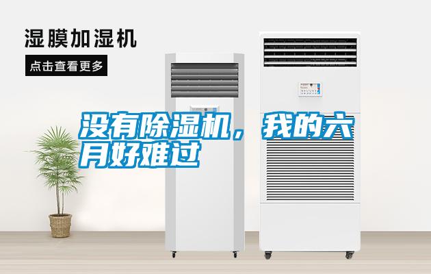沒有除濕機，我的六月好難過