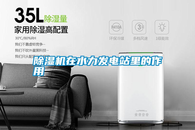 除濕機在水力發電站里的作用