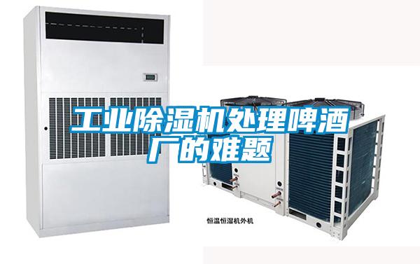 工業除濕機處理啤酒廠的難題