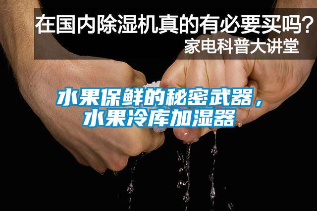 水果保鮮的秘密武器，水果冷庫(kù)加濕器