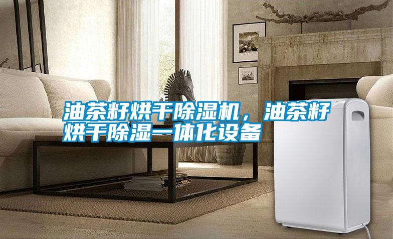 油茶籽烘干除濕機，油茶籽烘干除濕一體化設備