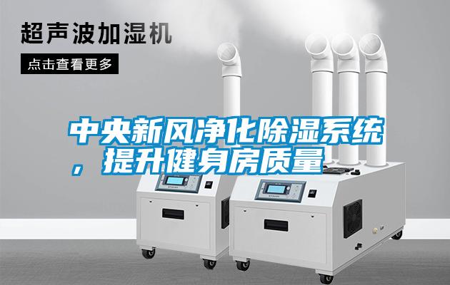 中央新風凈化除濕系統，提升健身房質量