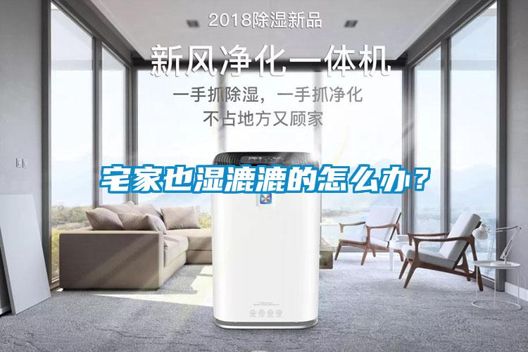 宅家也濕漉漉的怎么辦？