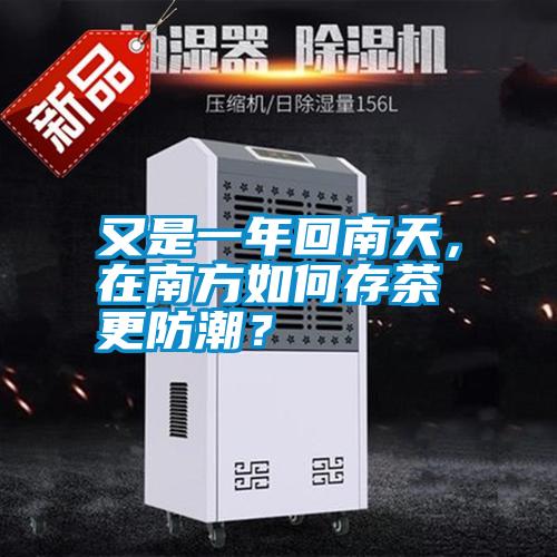 又是一年回南天，在南方如何存茶更防潮？