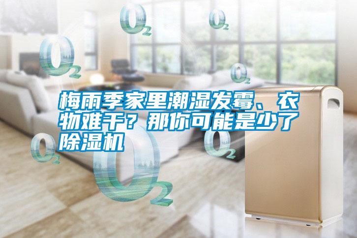 梅雨季家里潮濕發霉、衣物難干？那你可能是少了除濕機