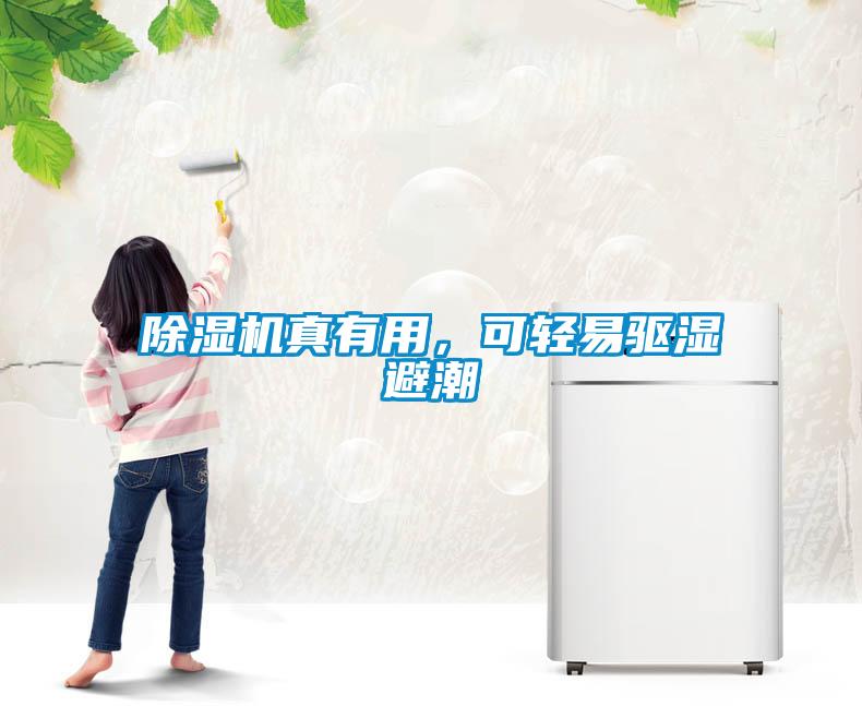 除濕機真有用，可輕易驅濕避潮