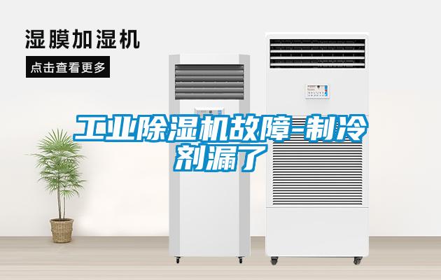 工業除濕機故障-制冷劑漏了