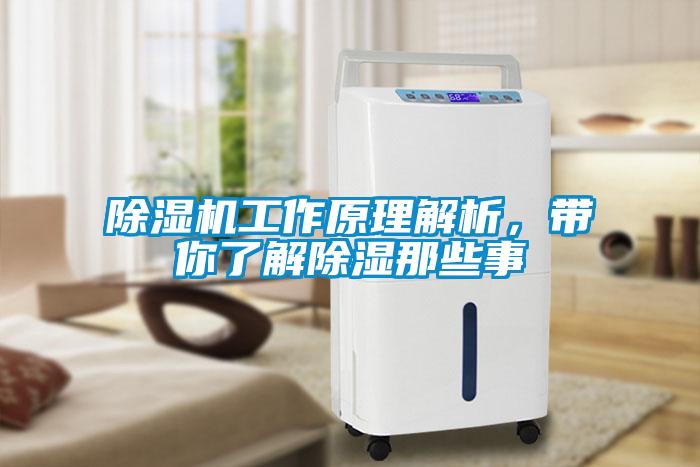除濕機工作原理解析，帶你了解除濕那些事