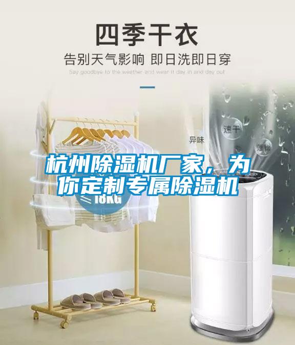 杭州除濕機(jī)廠家，為你定制專屬除濕機(jī)