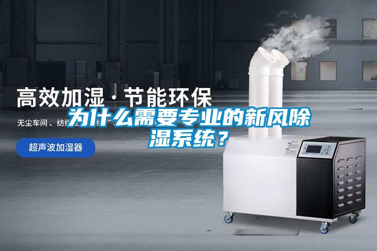 為什么需要專業的新風除濕系統？