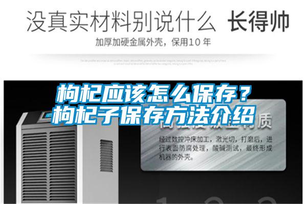 枸杞應該怎么保存？枸杞子保存方法介紹
