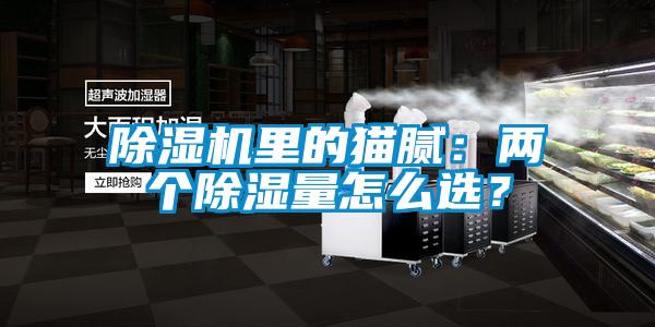 除濕機(jī)里的貓膩：兩個(gè)除濕量怎么選？