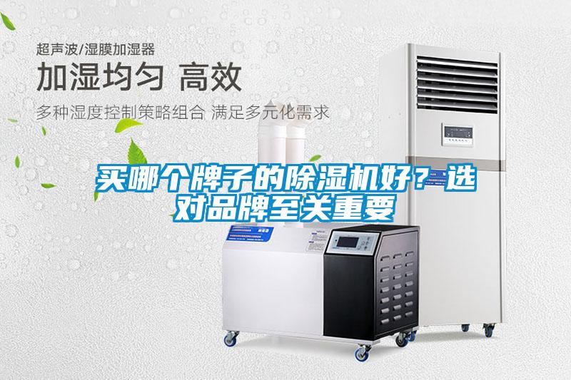 買哪個牌子的除濕機(jī)好？選對品牌至關(guān)重要