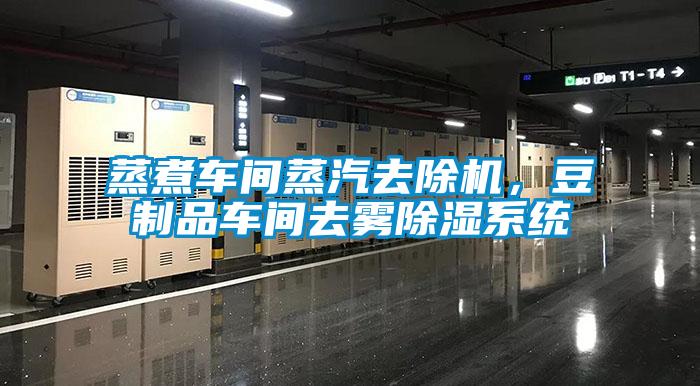蒸煮車間蒸汽去除機，豆制品車間去霧除濕系統(tǒng)