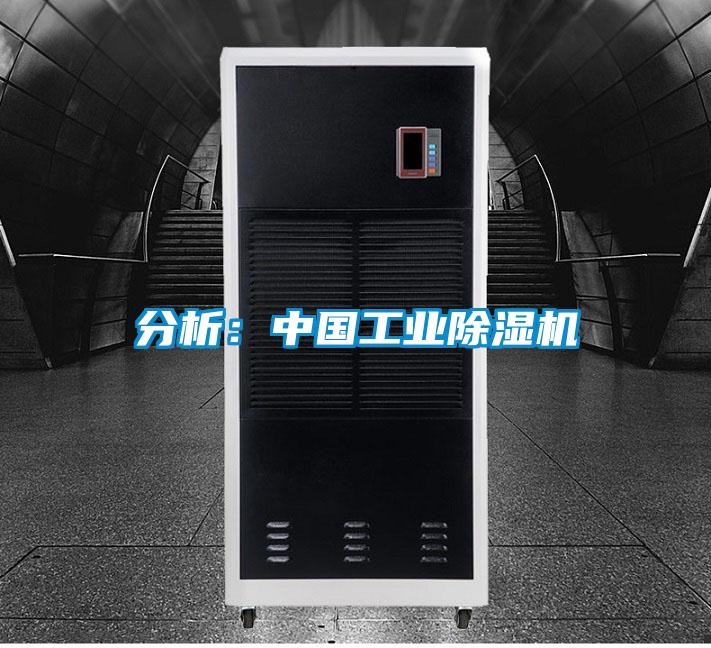 分析:中國工業(yè)除濕機