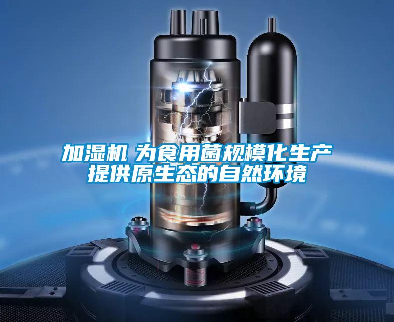 加濕機　為食用菌規?；a提供原生態的自然環境