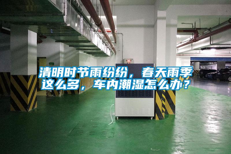 清明時(shí)節(jié)雨紛紛，春天雨季這么多，車內(nèi)潮濕怎么辦？