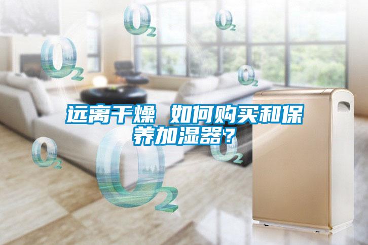 遠離干燥 如何購買和保養加濕器？