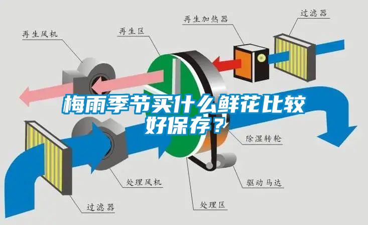 梅雨季節(jié)買什么鮮花比較好保存？