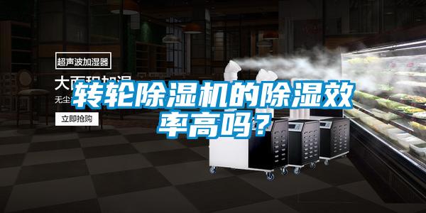 轉輪除濕機的除濕效率高嗎？