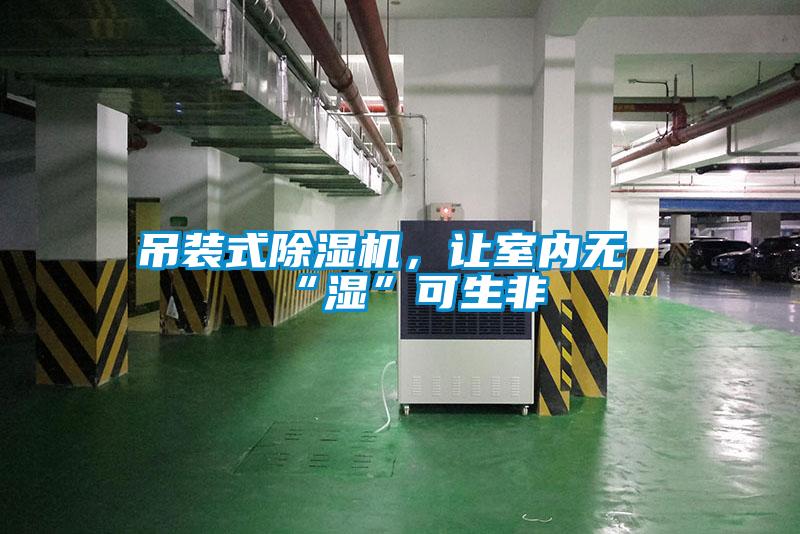 吊裝式除濕機，讓室內無“濕”可生非