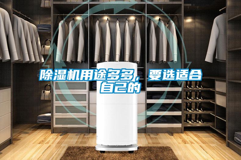 除濕機用途多多，要選適合自己的
