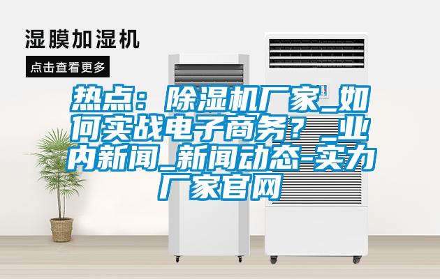 熱點：除濕機廠家_如何實戰電子商務？_業內新聞_新聞動態-實力廠家官網