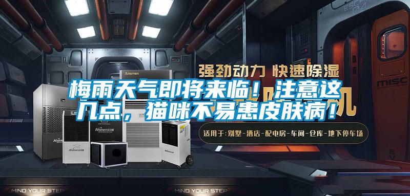 梅雨天氣即將來臨！注意這幾點，貓咪不易患皮膚?。?/></p>
						    <p style=