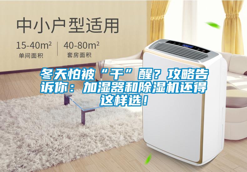 冬天怕被“干”醒？攻略告訴你：加濕器和除濕機還得這樣選！