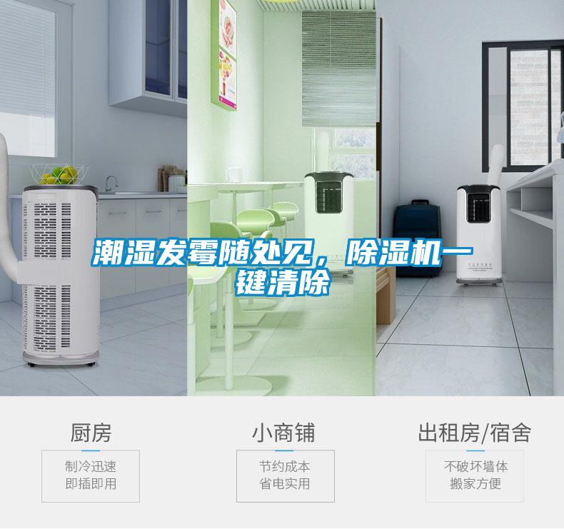 潮濕發霉隨處見，除濕機一鍵清除