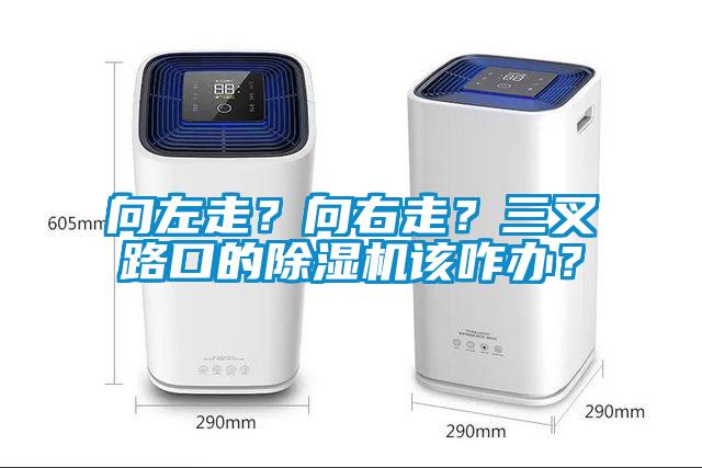 向左走？向右走？三叉路口的除濕機(jī)該咋辦？