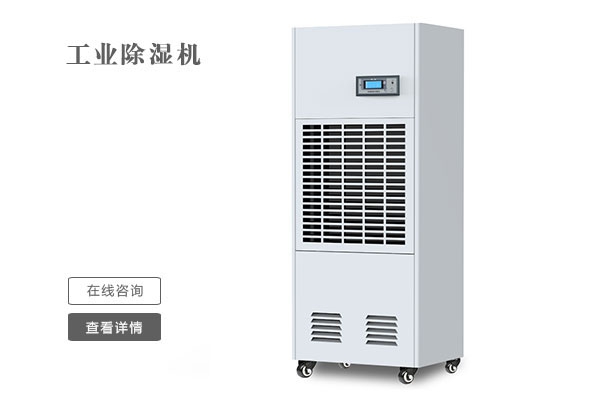 梅雨季墻紙發(fā)霉，該怎么辦？
