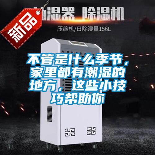 不管是什么季節，家里都有潮濕的地方，這些小技巧幫助你