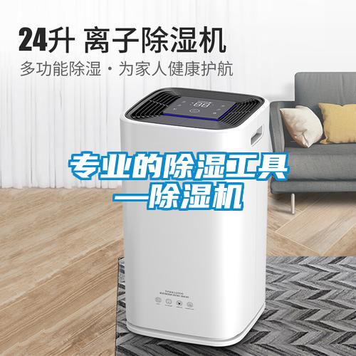 專業的除濕工具—除濕機