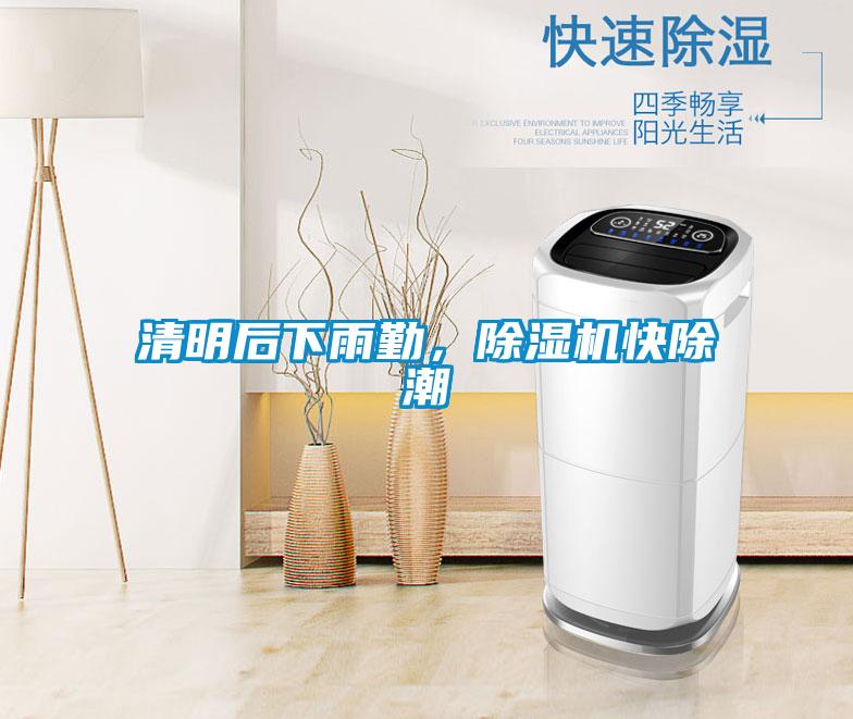 清明后下雨勤，除濕機快除潮