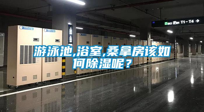 游泳池,浴室,桑拿房該如何除濕呢？