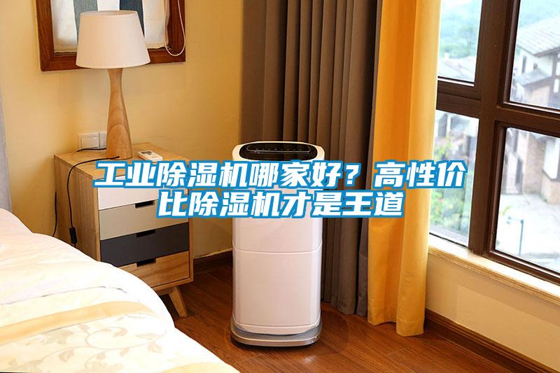 工業除濕機哪家好？高性價比除濕機才是王道