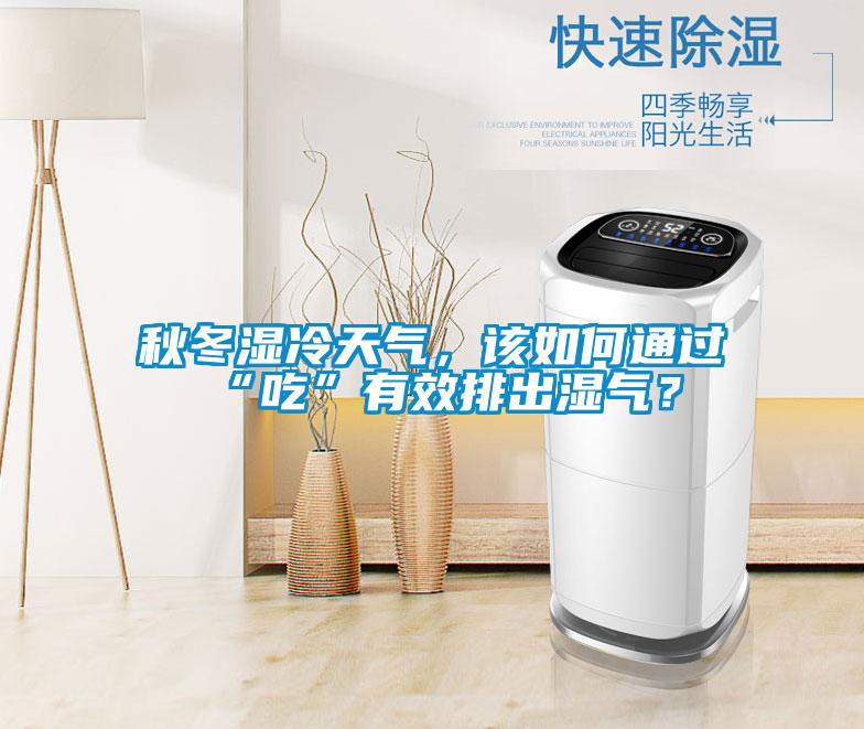 秋冬濕冷天氣，該如何通過“吃”有效排出濕氣？