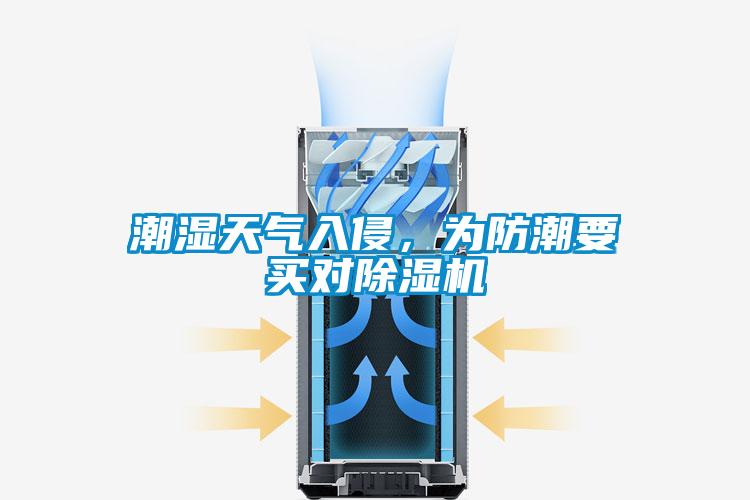 潮濕天氣入侵，為防潮要買對除濕機